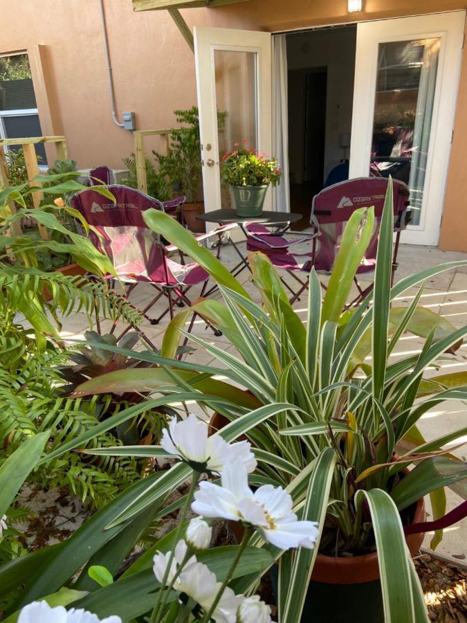 Mermaid'S Cottage West Palm Beach Extérieur photo